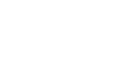 Nortene_Logo